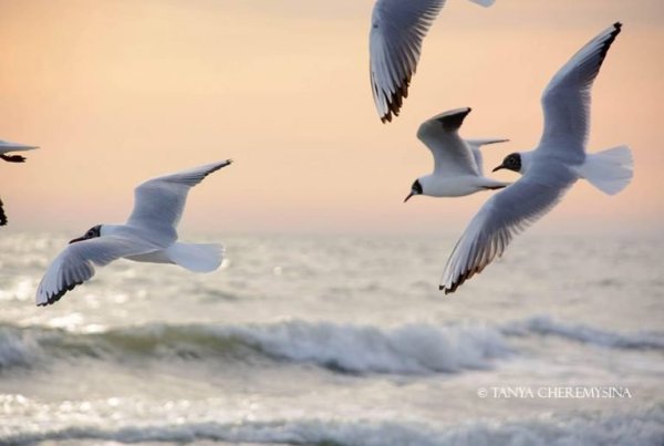 Открытки с субботой и морем