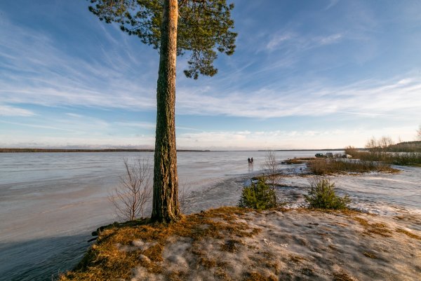 Коприно Рыбинское водохранилище