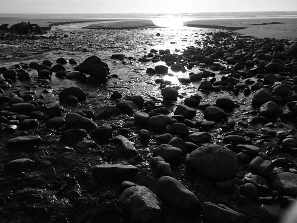 Море пляж черно белое