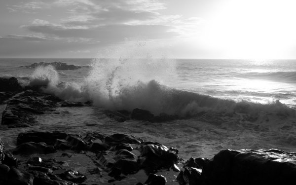 Черно белый океан