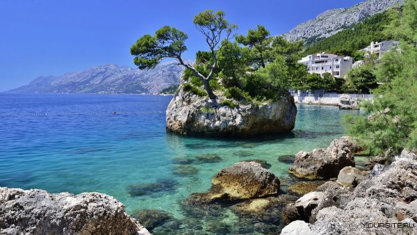 Пунта-рата Брела Хорватия