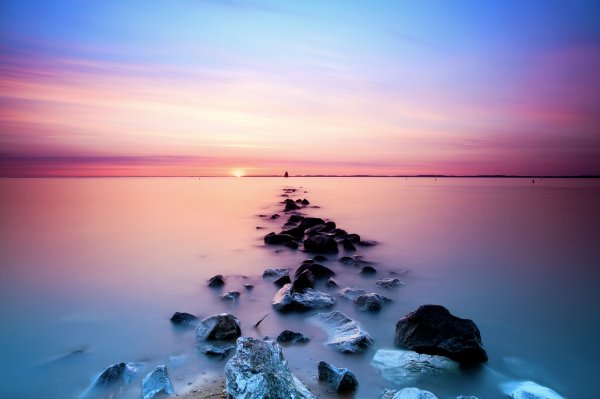 Цветы на воде