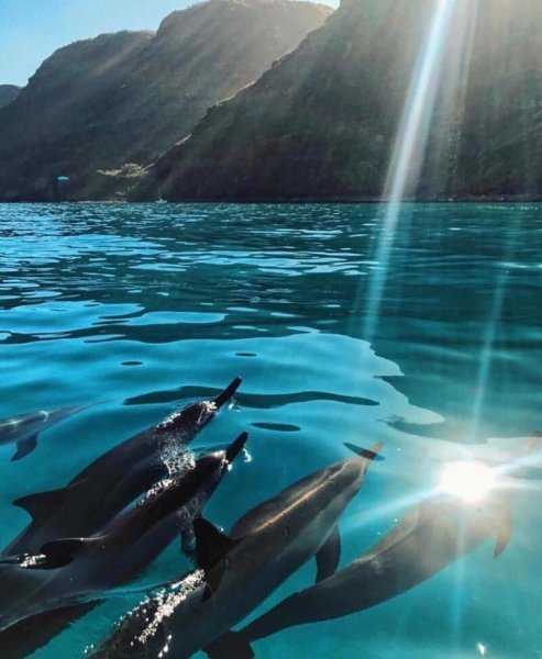 Море солнце