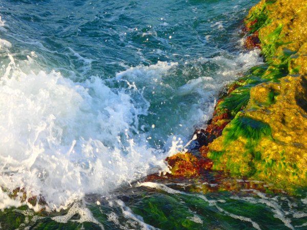 Каспий Азербайджан