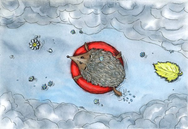 Ежик плывет