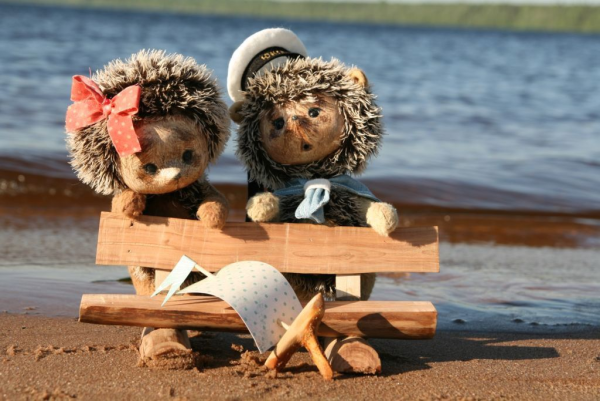 Ежики любовь