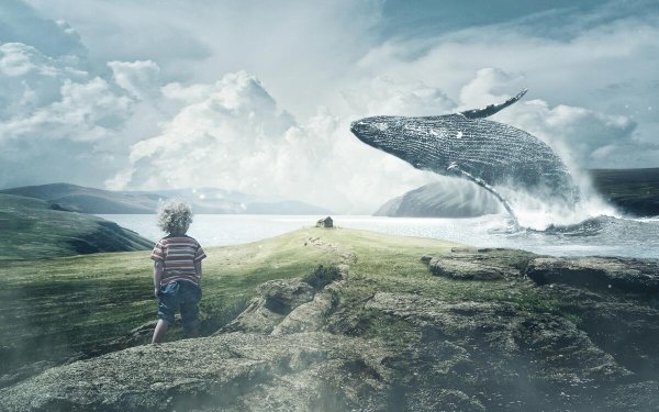 Летающий кит в небе