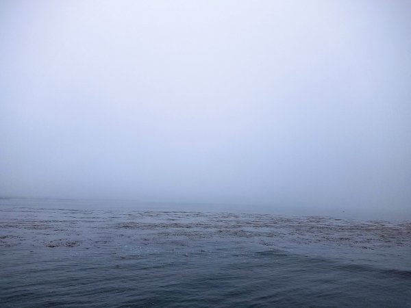 Туман над морем