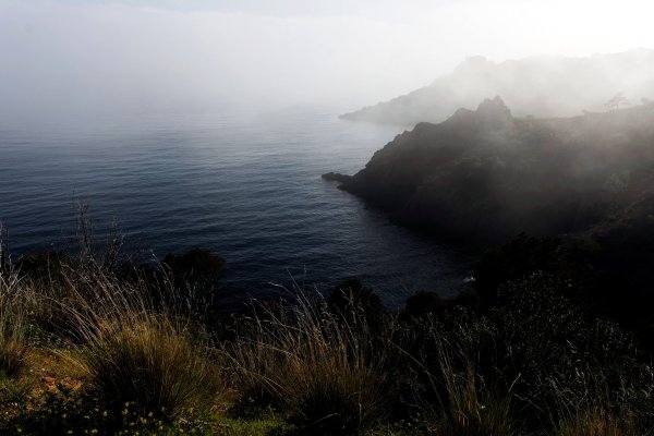 Волны тумана