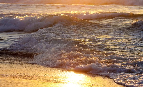 Золотые волны моря