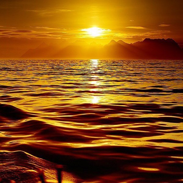 Золотистое море