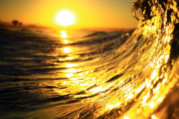 Море золота