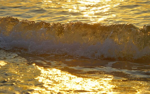 Золотое море