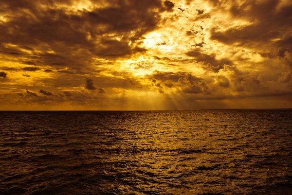 Золотой закат