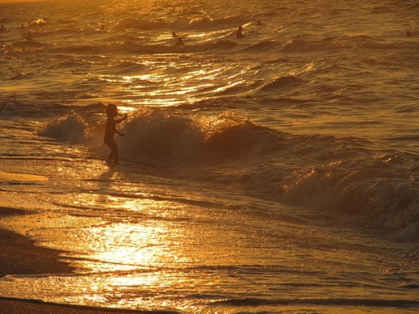 Золотистое море