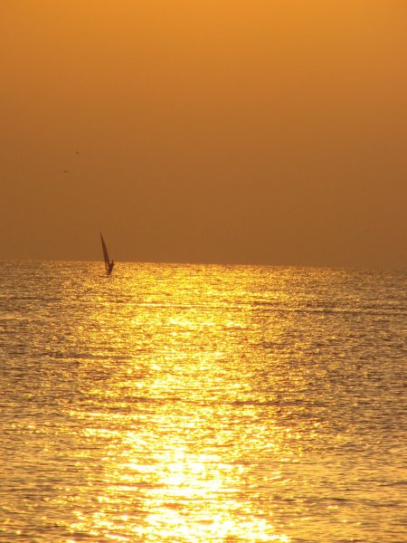 Море золота