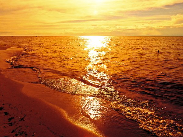 Золотой закат