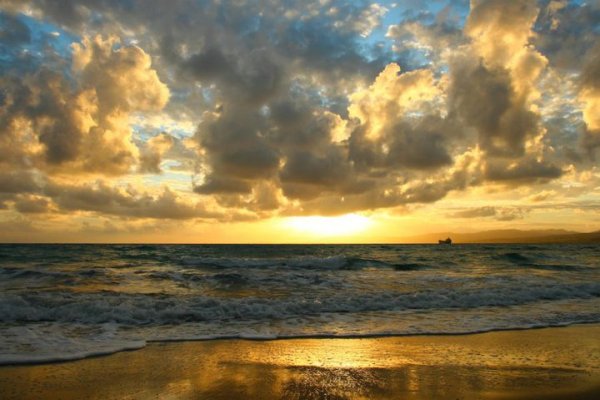 Золотое море