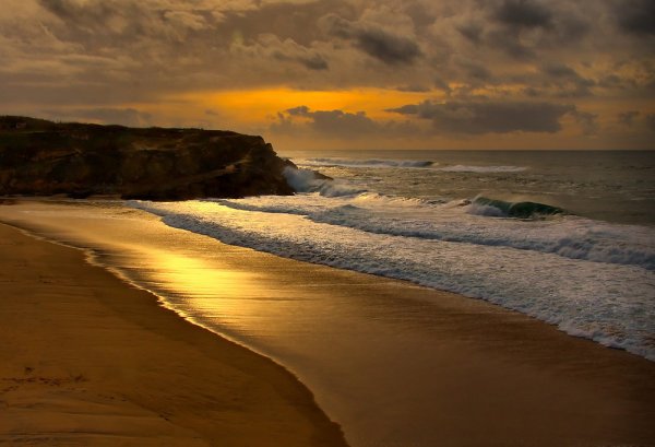 Золотистое море