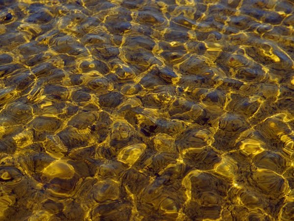 Море золота