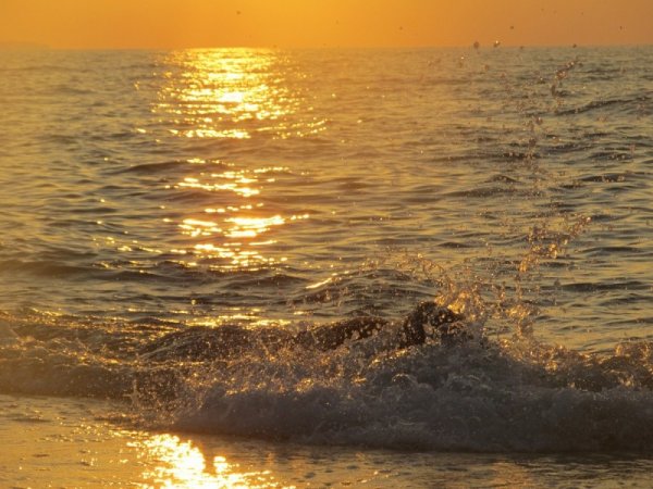 Море с золотом