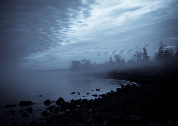 Берег моря ночью