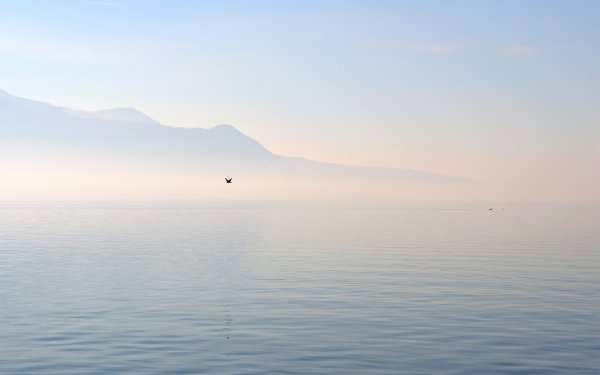 Спокойное море