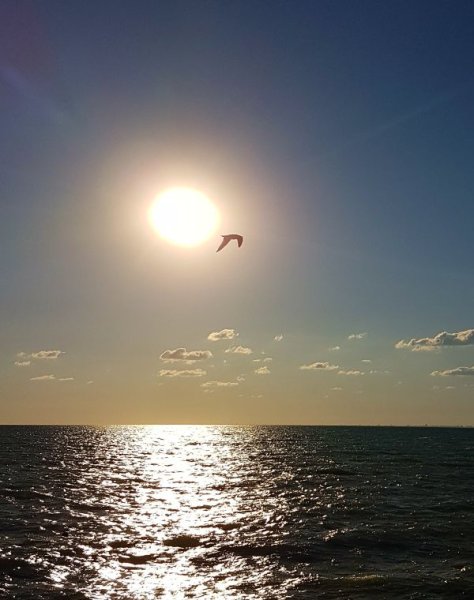 Прощание с морем фото