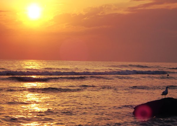 Досвидание море