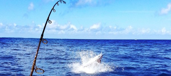 Фон рыбалка