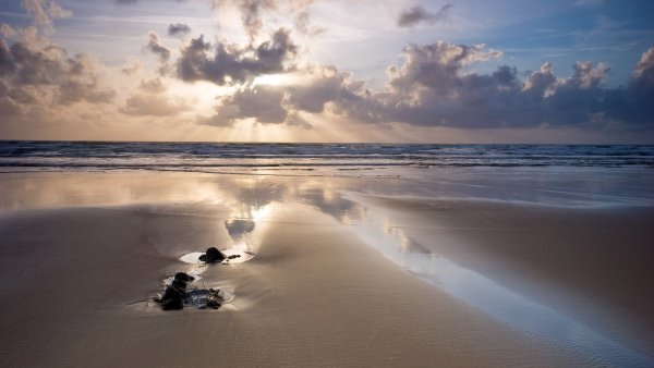 Прощание Пушкина с морем Айвазовский