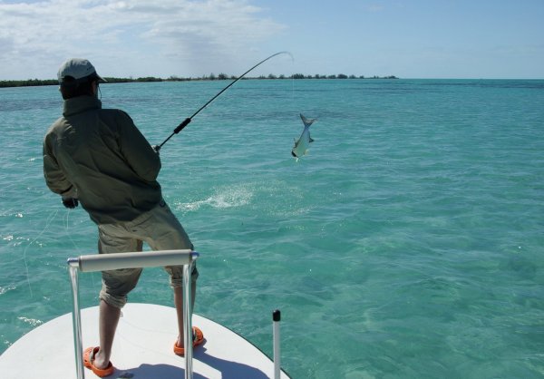 Морская рыбалка