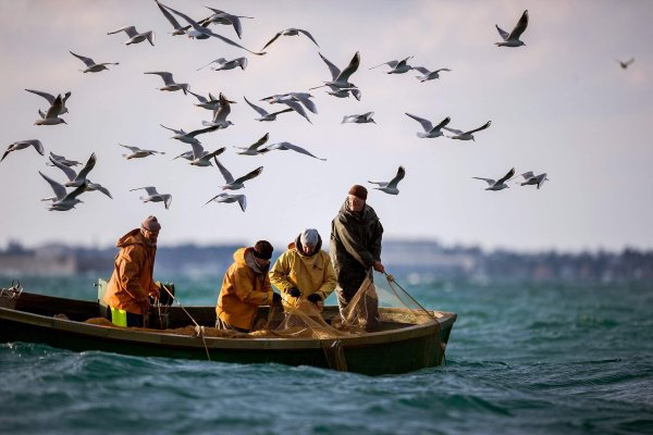 Прибрежное рыболовство