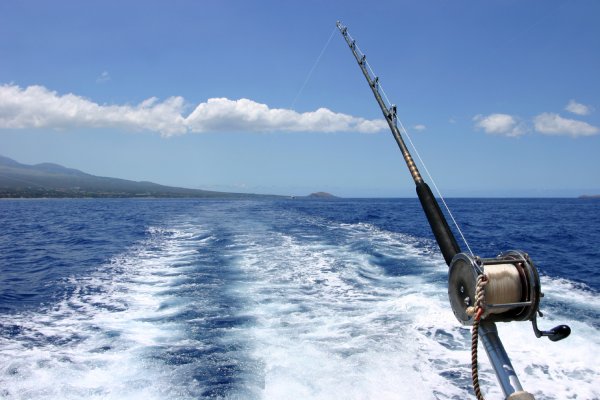 Катера для морской рыбалки