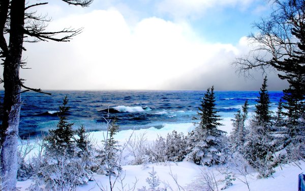 Красивое зимнее море
