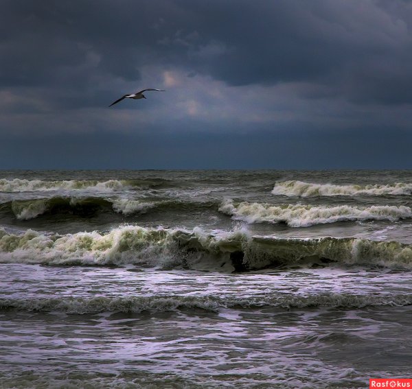 Надвигающаяся волна