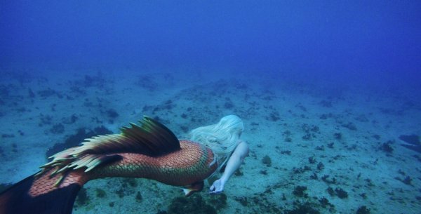 Русалки настоящие