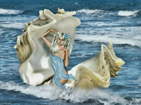 Девушка в ракушке