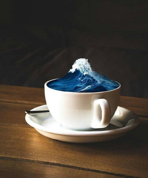 Чашечка моря