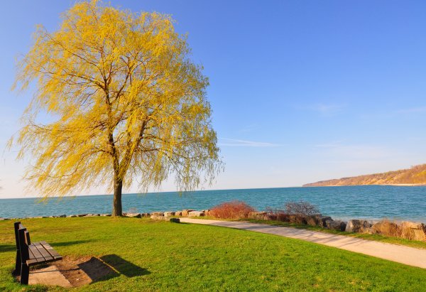 Море в парке
