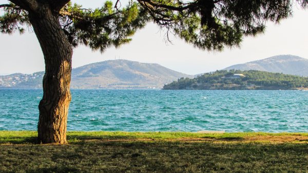 Парк с морем летом