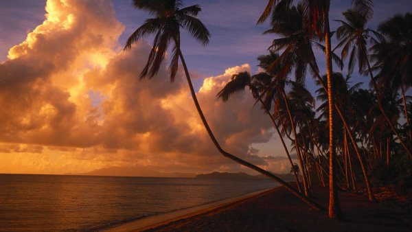 Shivaki STV-32led17