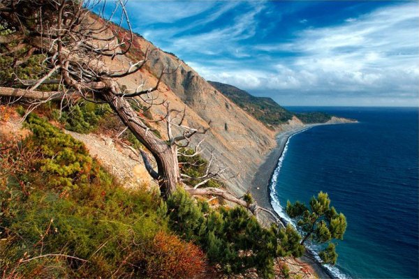 Борцовский дворец Ялта