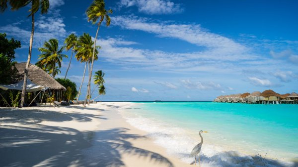 Отпуск у моря