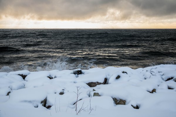 Берег холодного моря