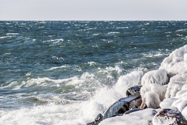 Холодное море