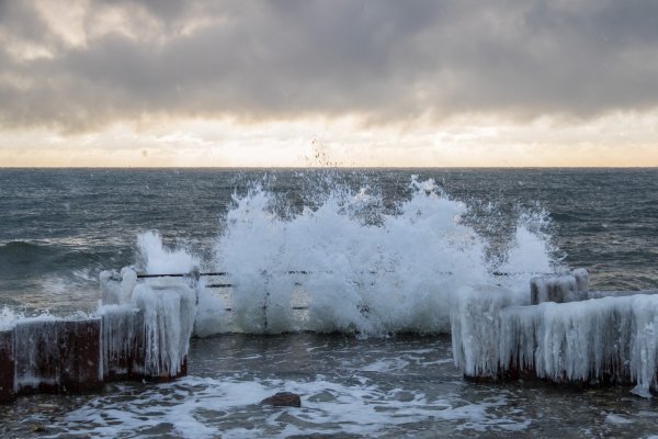Холодное побережье