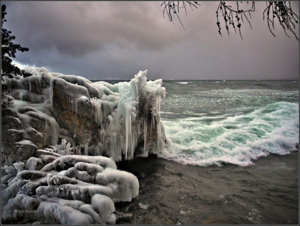 Холодные берега