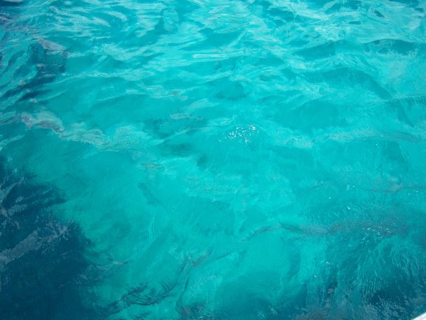 Фон для презентации море