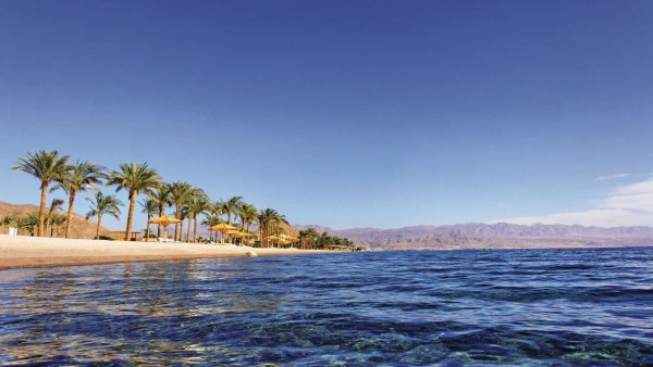 Красное море Египет пляж